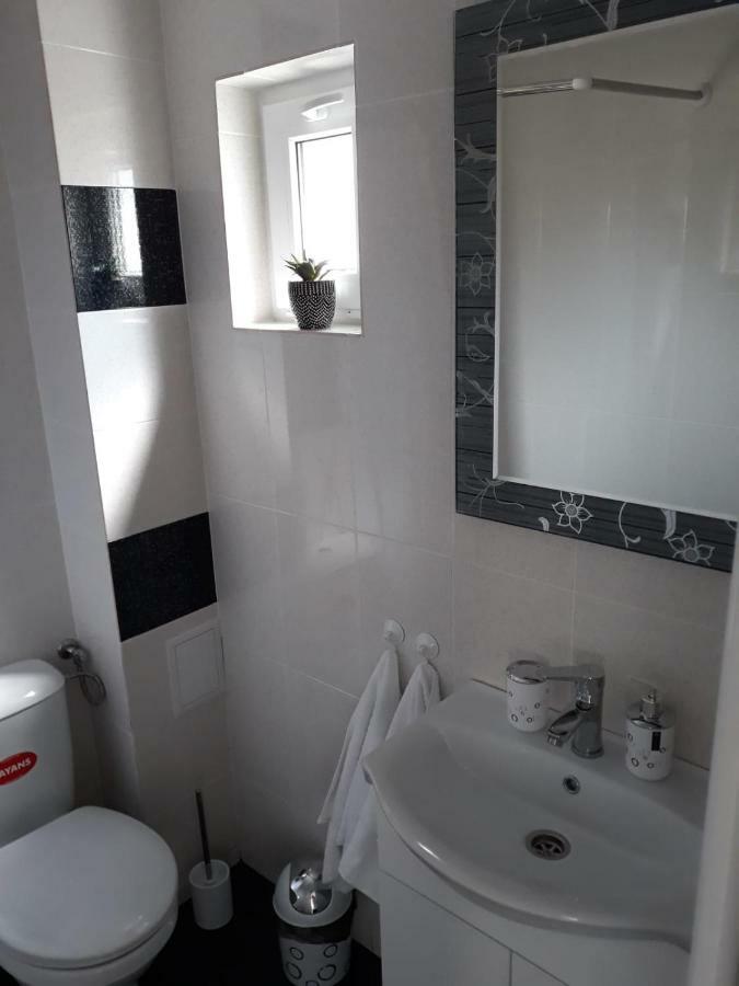 Appartement Casa Luisa à Călimăneşti Extérieur photo